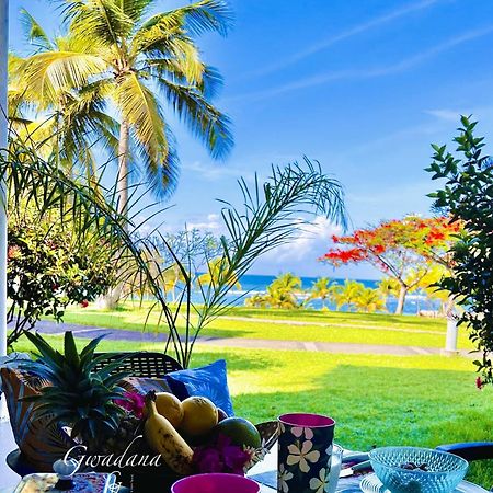 Acces Direct Plage, Vue Mer D'Exception, Les Gwada Studios, Village Vacances Sainte-Anne  Exterior foto