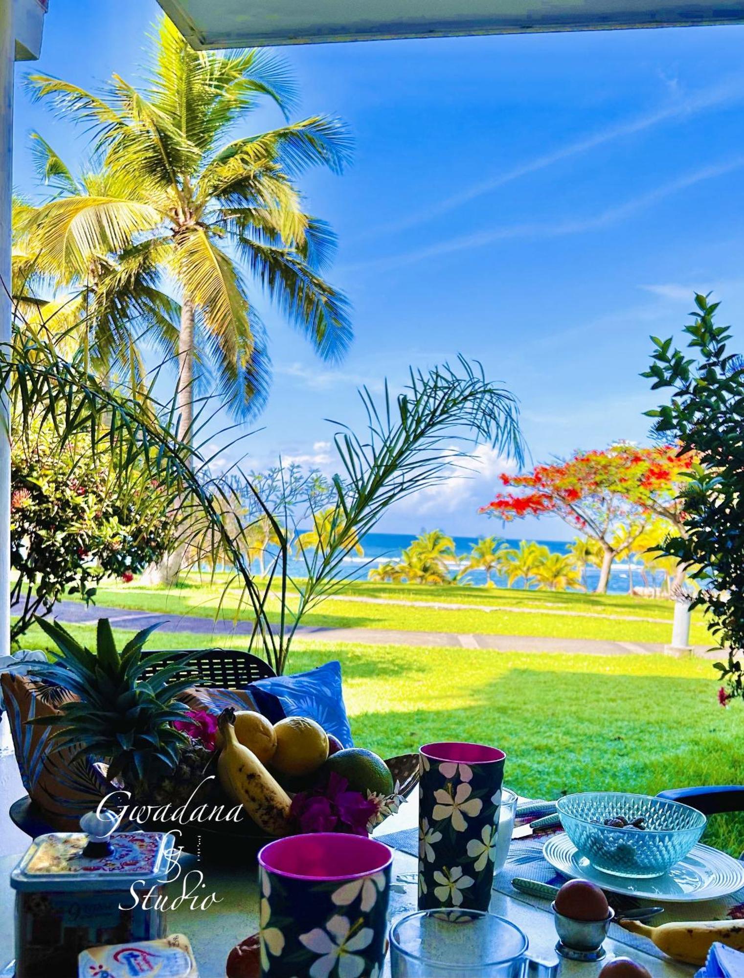 Acces Direct Plage, Vue Mer D'Exception, Les Gwada Studios, Village Vacances Sainte-Anne  Exterior foto